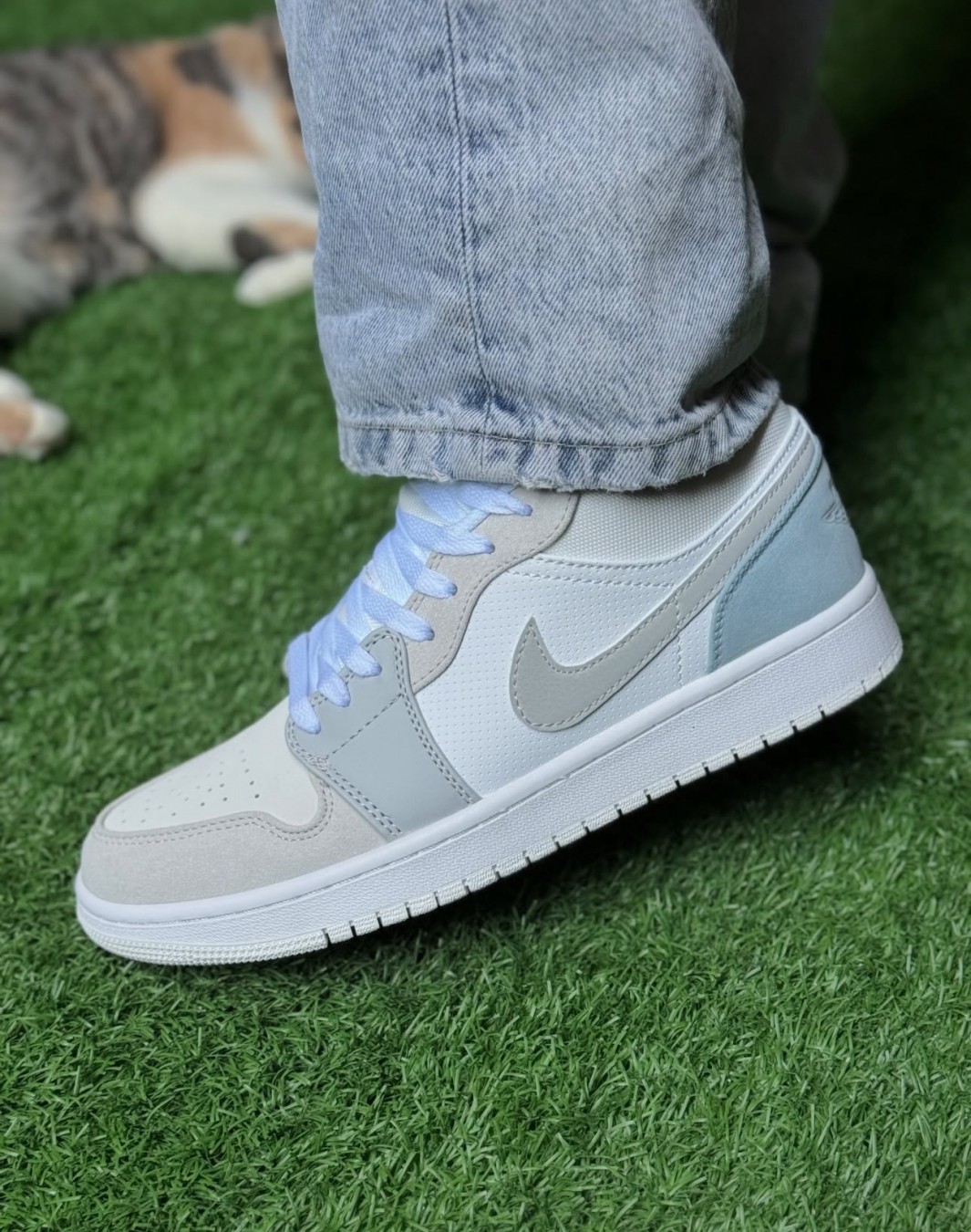 نایکی ایر جردن 1 بدون ساق پاریس || Nike Air Jordan 1 Low Paris (کد ۳۲۰)