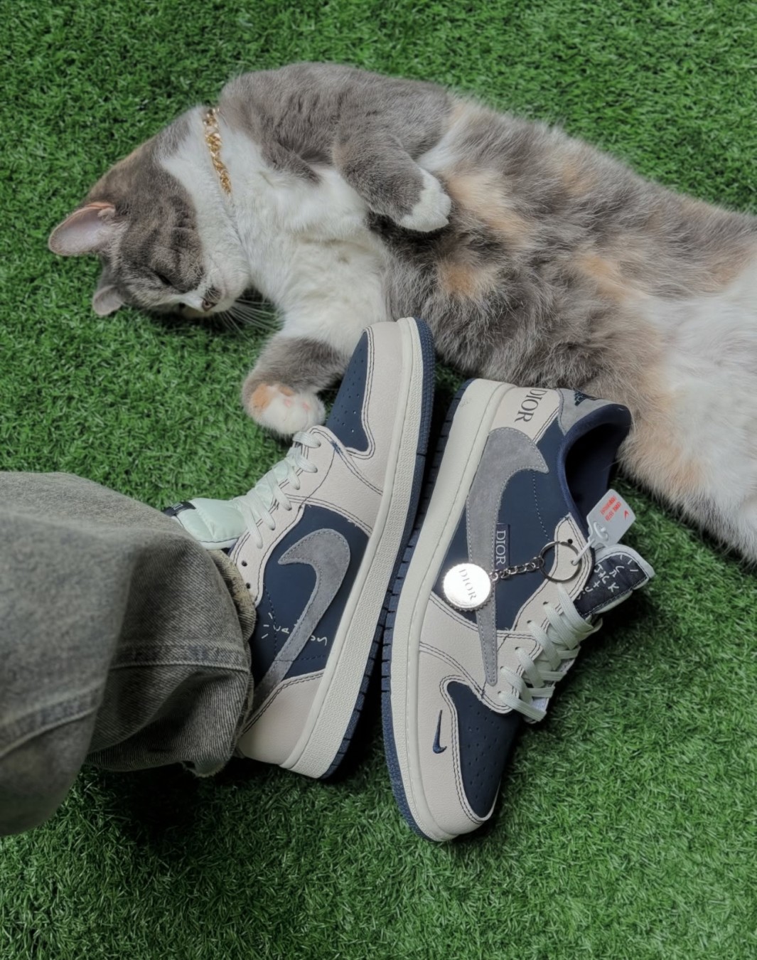 نایکی جردن ۱ ترویس اسکات دیور || Nike Jordan 1 Travis Scott Dior (کد ۶۲۱)