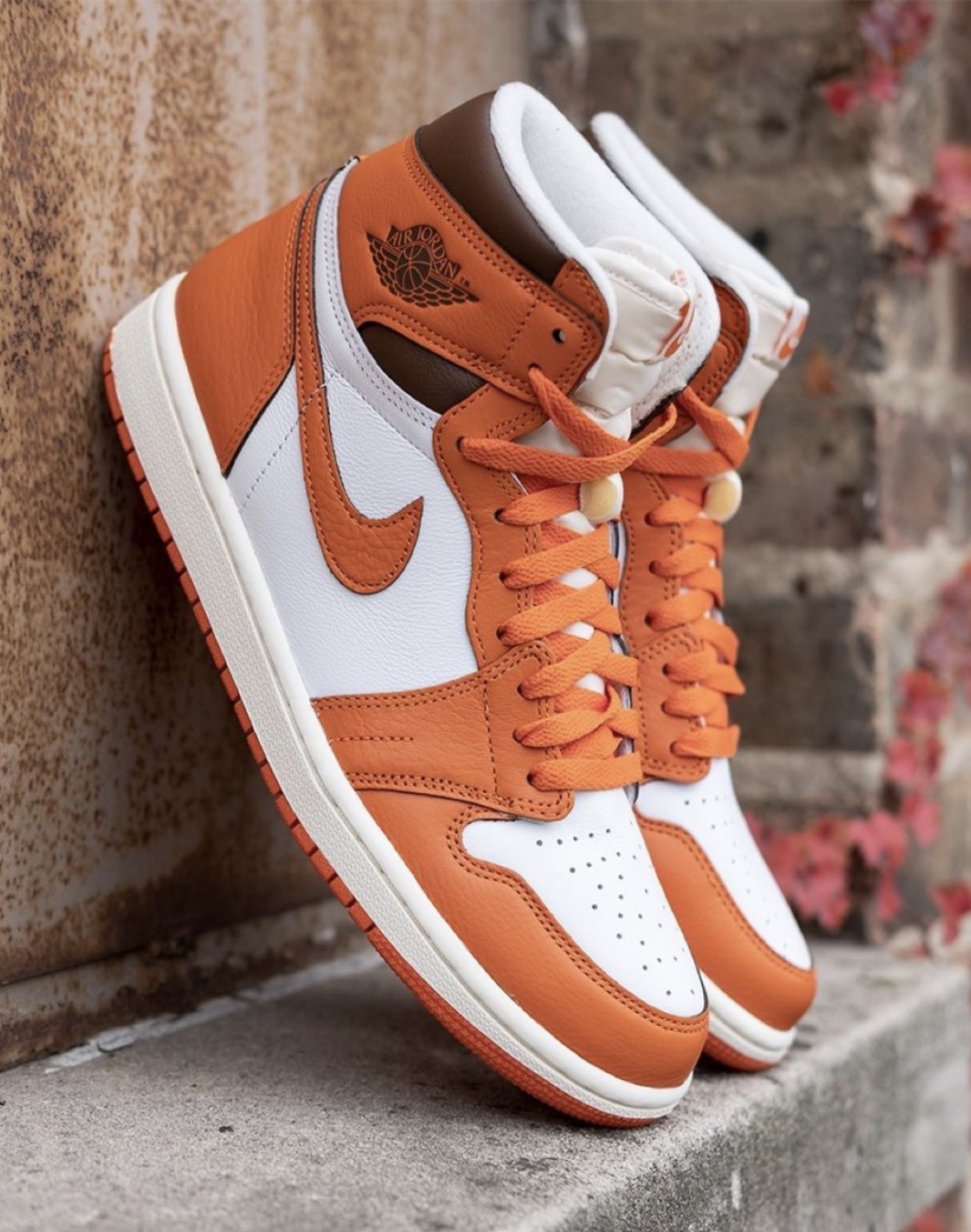 نایکی ایر جردن ۱ ساقدار استارفیش || Nike Air Jordan 1 High OG Starfish (کد ۷۱۹)
