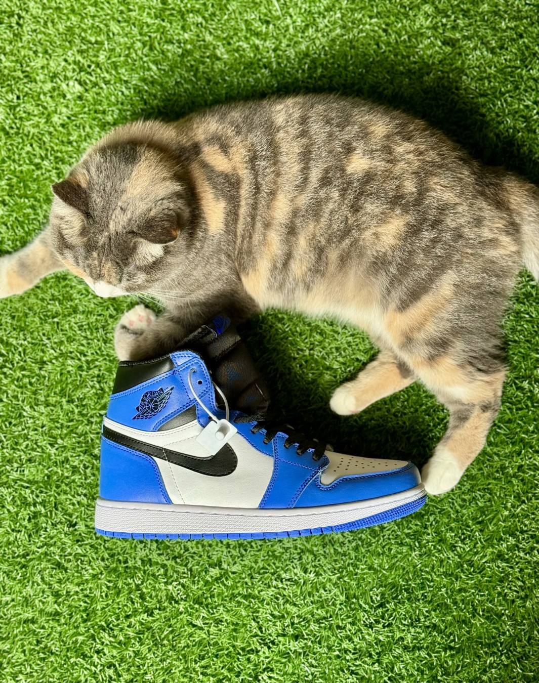 نایکی ایر جردن ۱ ساقدار رویال گیم