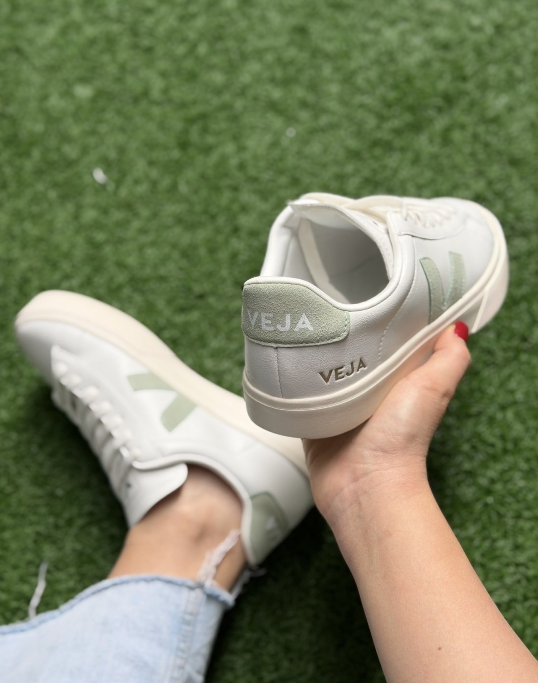 وجا سفید سبز