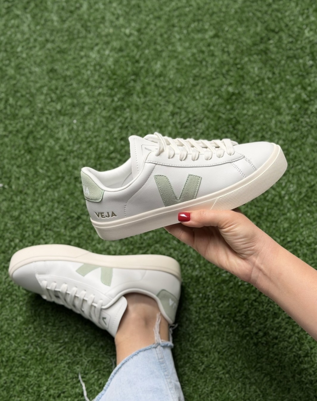 وجا سفید سبز