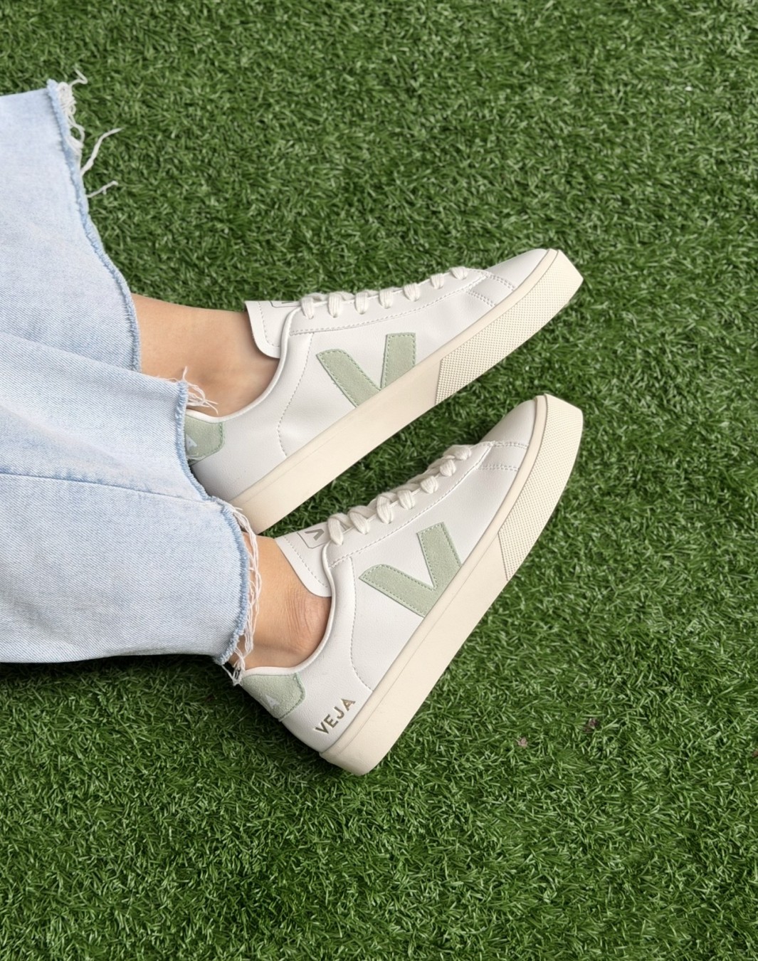 وجا سفید سبز