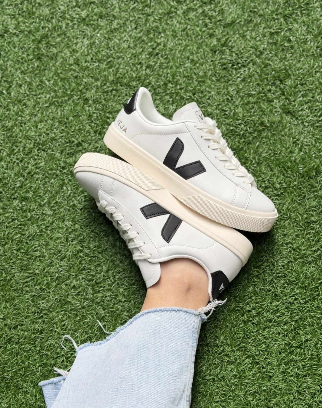 وجا سفید مشکی