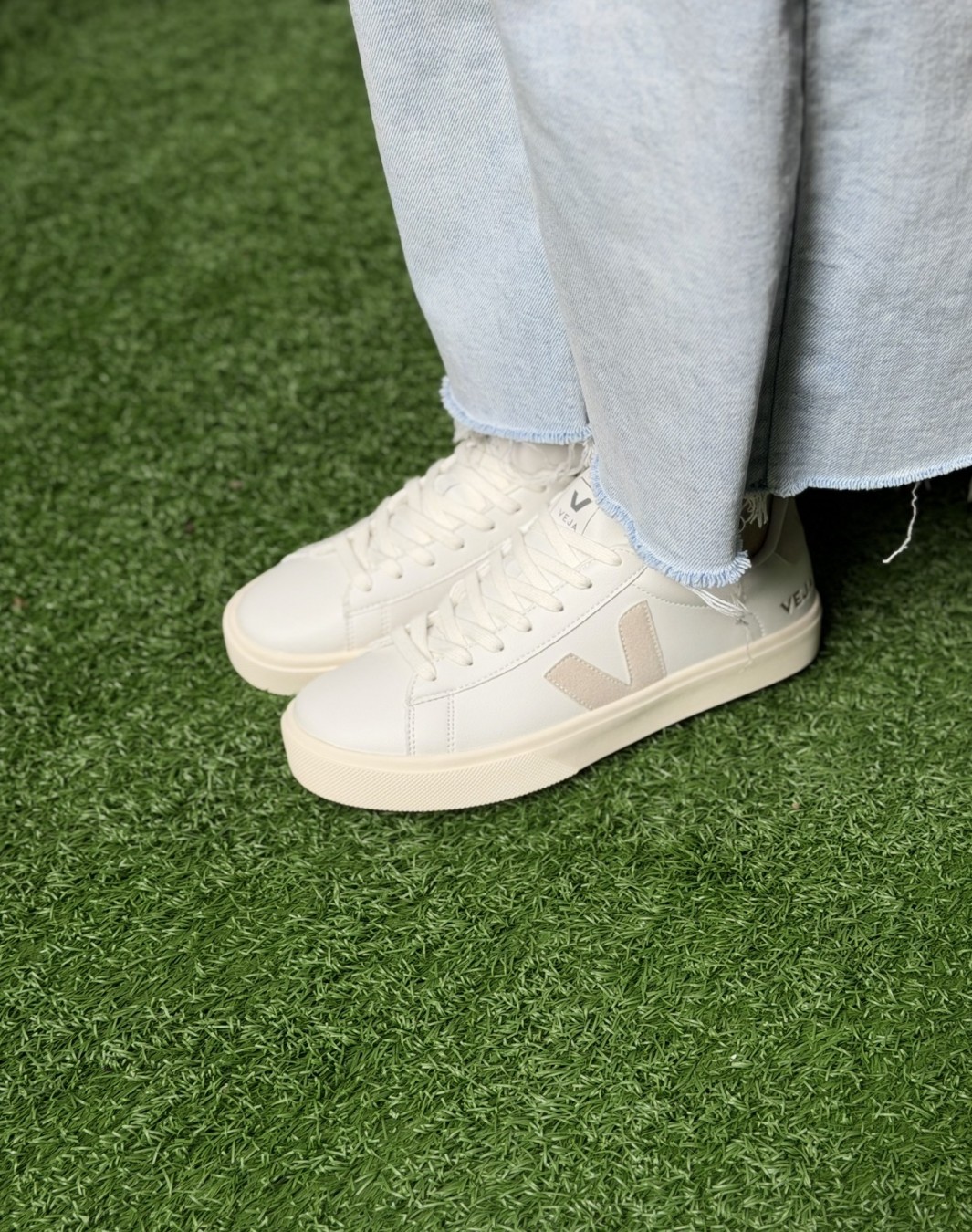 وجا سفید کرم