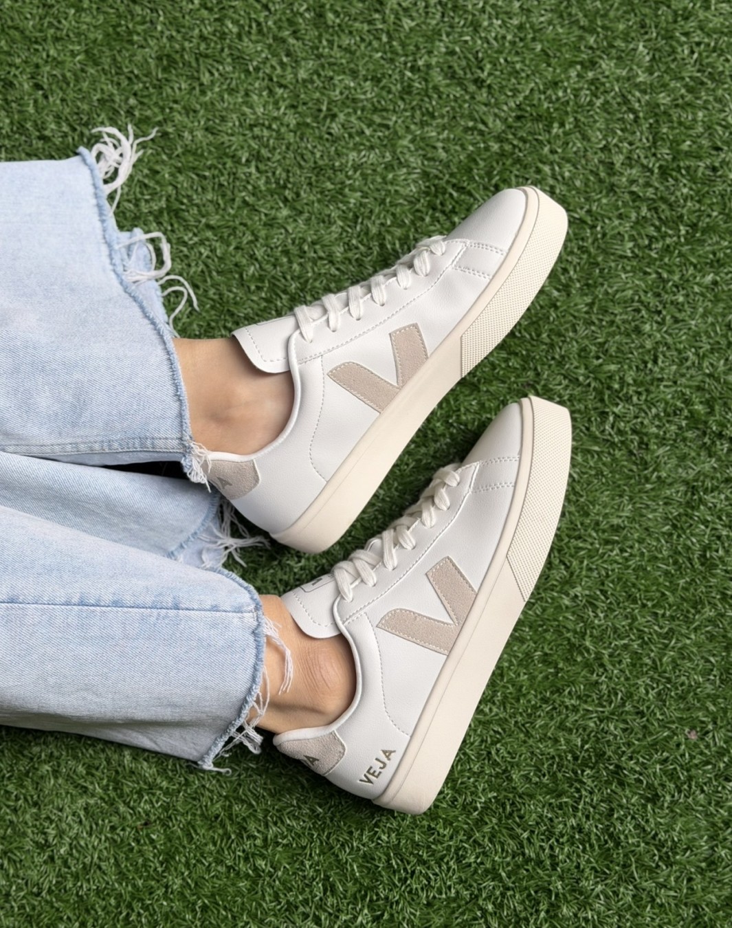 وجا سفید کرم