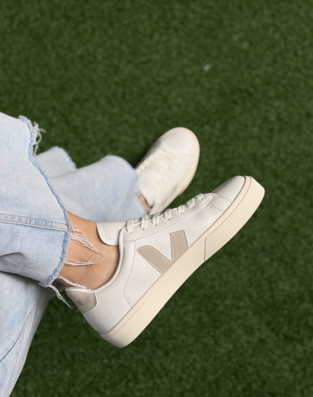 وجا سفید کرم