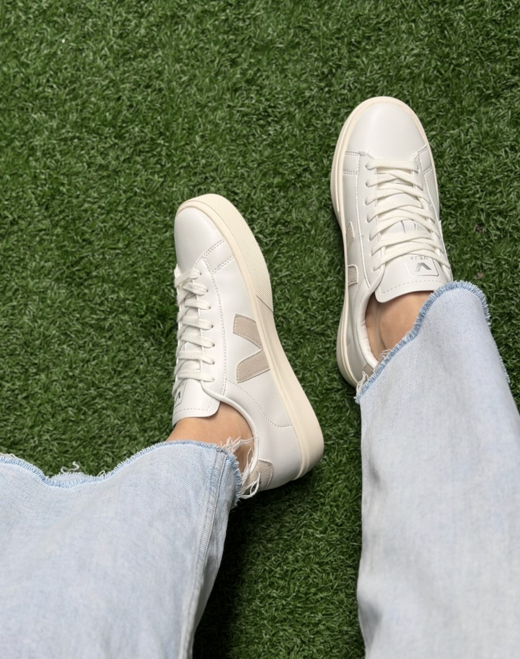 وجا سفید کرم