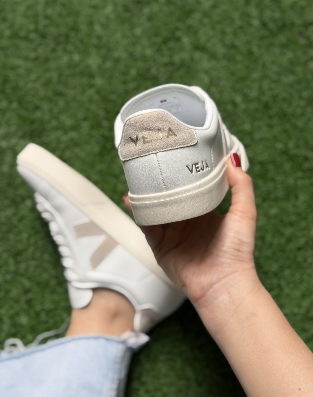 وجا سفید کرم